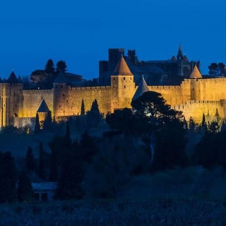 Le Panoramique - Sublime Vue Sur La Cite Apartment Carcassonne Bagian luar foto