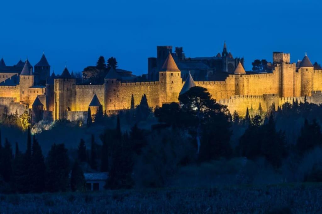Le Panoramique - Sublime Vue Sur La Cite Apartment Carcassonne Bagian luar foto